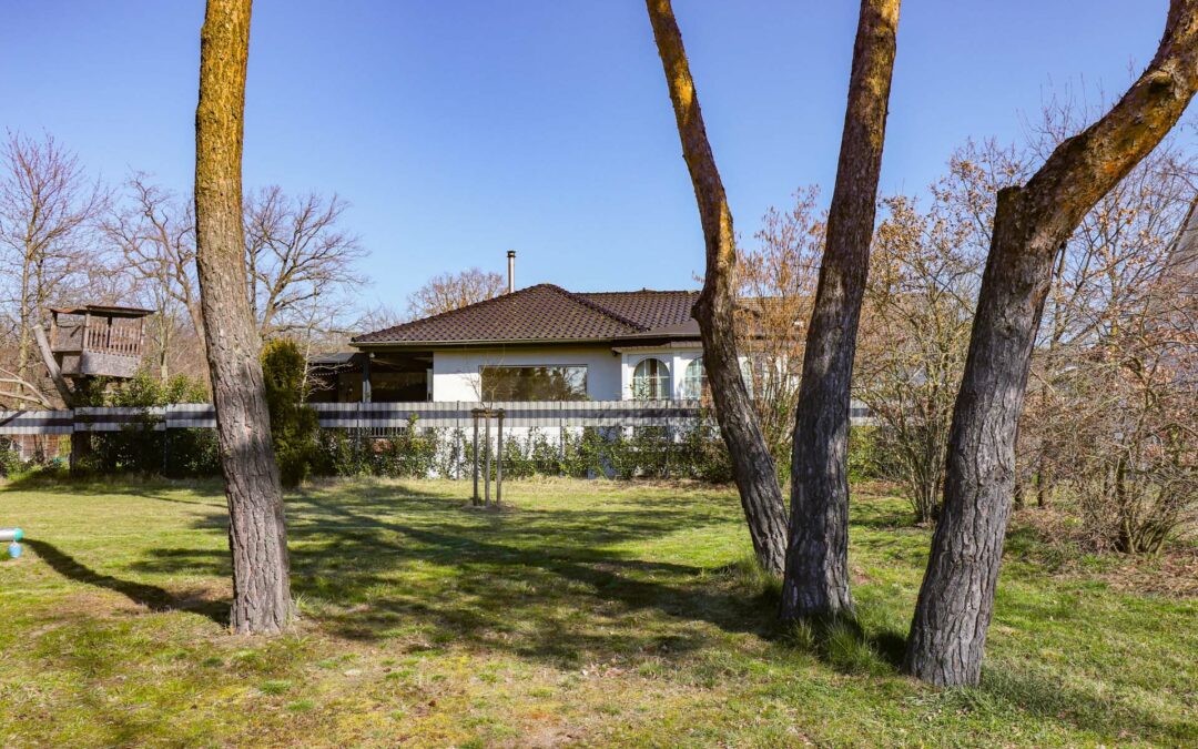 Vil­la mit groß­zü­gi­gem Gar­ten in Bad Homburg